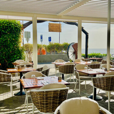 Find-Madeira-Leenos-Bar-destaque Find-Madeira-Leenos-Bar-destaque