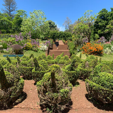 Find_Madeira_palheiro-gardens1 Find_Madeira_palheiro-gardens1