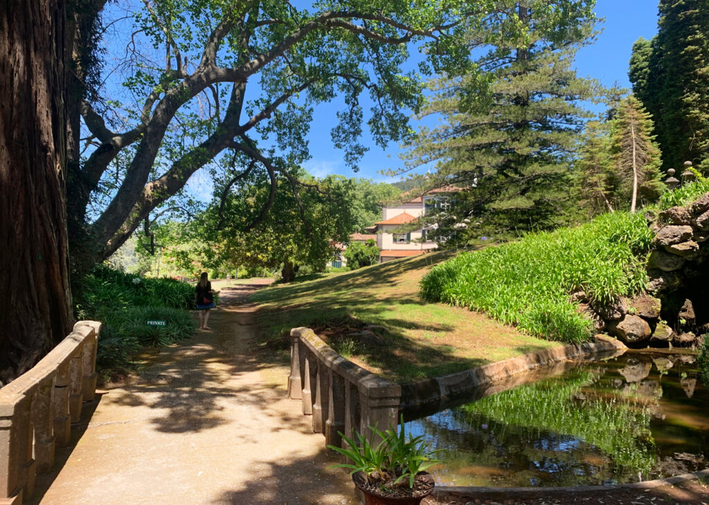 Fomos visitar os Jardins do Palheiro, um refúgio botânico na Madeira com árvores exóticas, lagos, riachos e vista panorâmica sobre o Funchal.