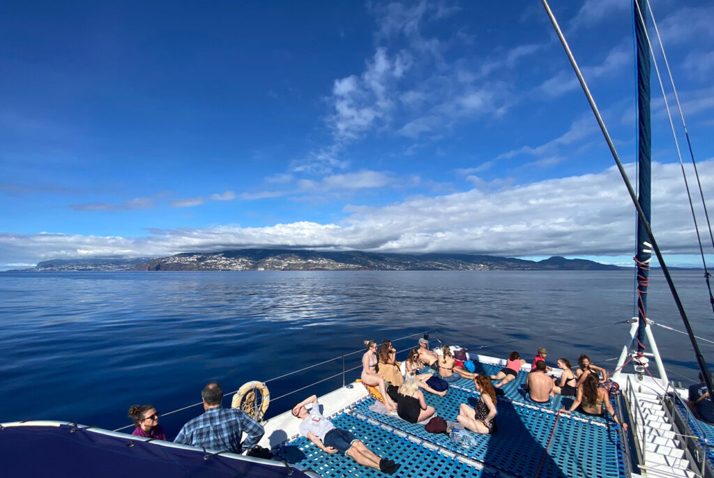 A experiência completa de um passeio de três horas que começa no Funchal e nos leva a ver o mar com outros olhos.