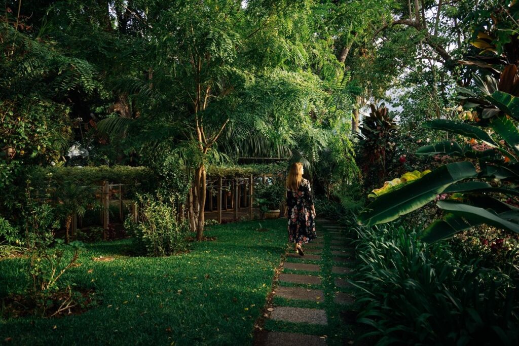 No centro do Funchal, ainda existem lugares onde o tempo abranda. Descubra cinco hotéis boutique instalados em quintas históricas — oásis de tranquilidade, natureza e elegância intemporal.