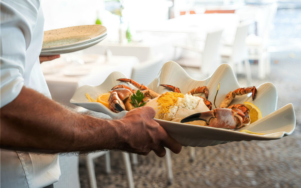 Visitámos sete restaurantes distintos e escolhemos, em cada um, um prato especial. Sete paragens, sete momentos de prazer, sete pratos que guardamos na memória — e que partilhamos agora aqui como os nossos 7 magníficos desta rota gastronómica.