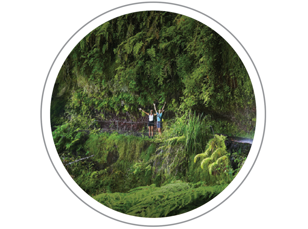Festival da Natureza - Find Madeira